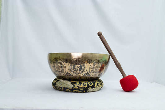 Chakra Force Alignment Singing Bowl