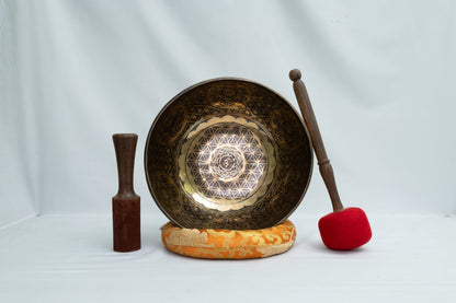 OM Crown Chakra Singing Sound Bowl