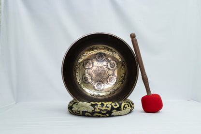 Chakra Force Alignment Singing Bowl